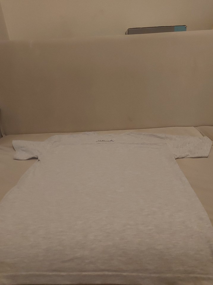 beyaz/ açık gri erkek  kısa kollu tişört - Görsel 2