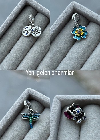 Accessorize  Yeni Gelen Charmlar