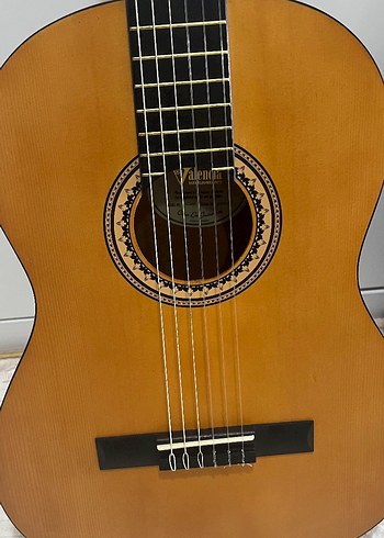 Klasik Kahverengi Gitar ve Taşıma Kılıfı - Görsel 2