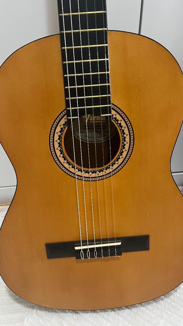 Klasik Kahverengi Gitar ve Taşıma Kılıfı - Görsel 2