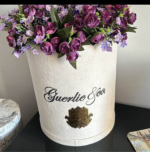 Guerlie co kutu