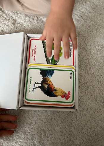 İlk 100 Hayvan Zeka Kartları - DIYTOY - Görsel 2