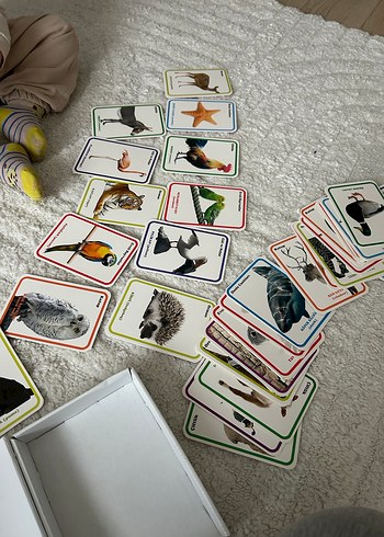 İlk 100 Hayvan Zeka Kartları - DIYTOY - Görsel 3