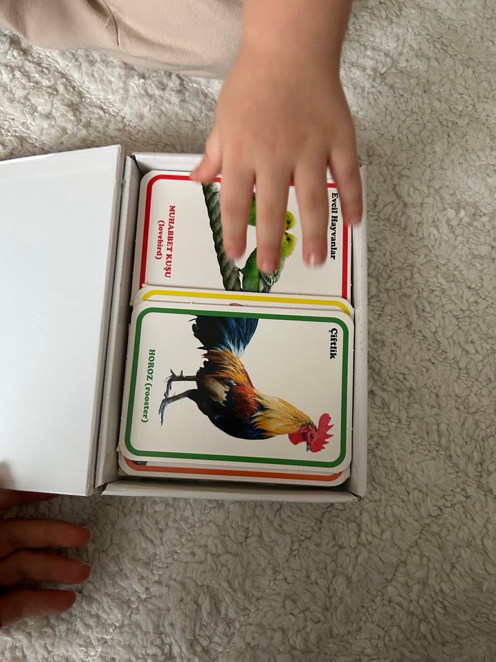 İlk 100 Hayvan Zeka Kartları - DIYTOY - Görsel 2