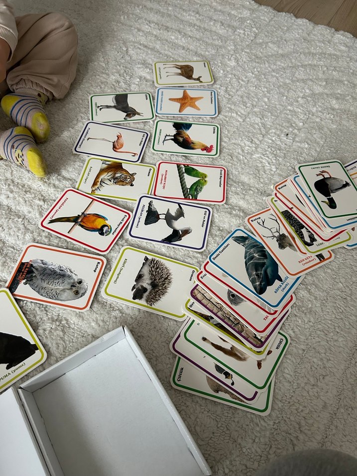 İlk 100 Hayvan Zeka Kartları - DIYTOY - Görsel 3