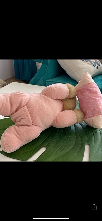 Diğer Ayıcık Peluş
