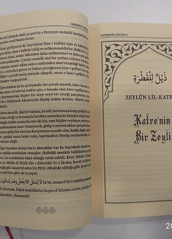  Beden Badıllı Mesnevi 