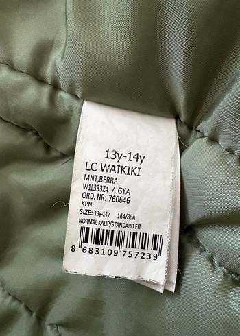 LCW Erkek Çocuk yeşil Kapüşonlu Mont - Görsel 3