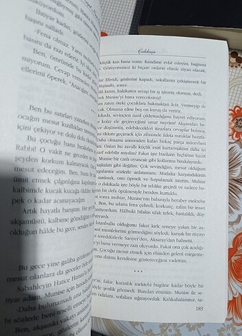Çalıkuşu Reşat Nuri Güntekin 