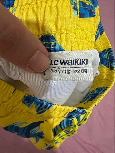 LC Waikiki Erkek deniz şortu