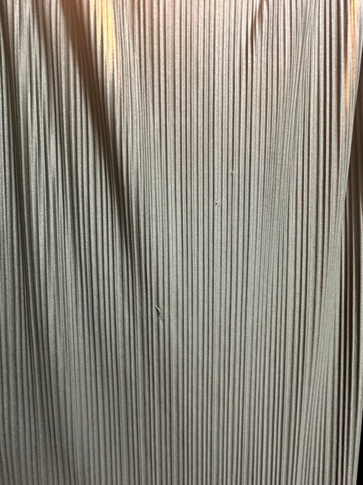 Kadın Keten Pilili Uzun Elbise - Görsel 4