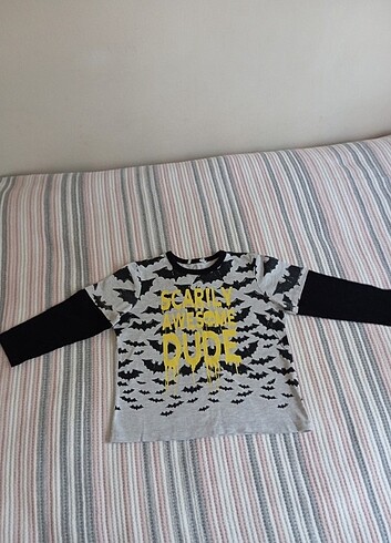 Erkek çocuk mevsimlik uzunk kollu tişört  - Görsel 4