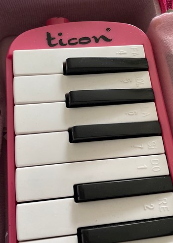 Pembe Melodika ve Taşıma Çantası - Görsel 2