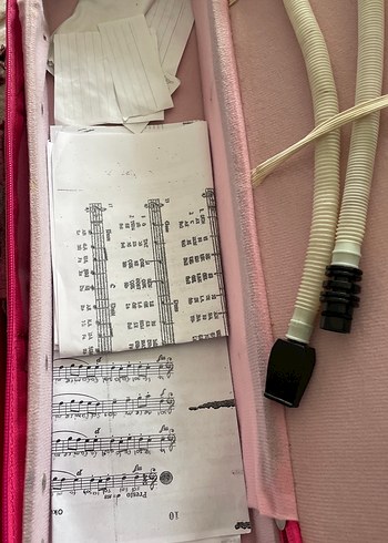 Pembe Melodika ve Taşıma Çantası - Görsel 6