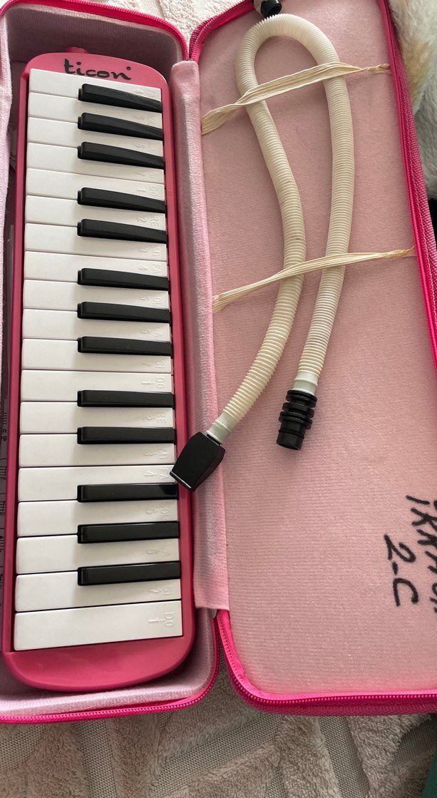 Pembe Melodika ve Taşıma Çantası - Görsel 3