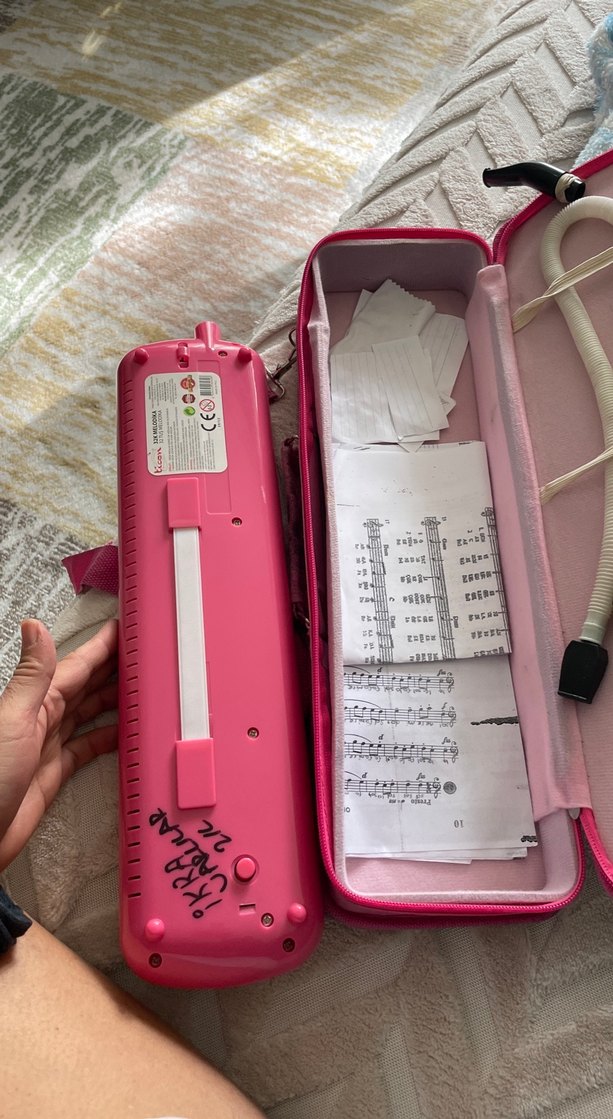 Pembe Melodika ve Taşıma Çantası - Görsel 5