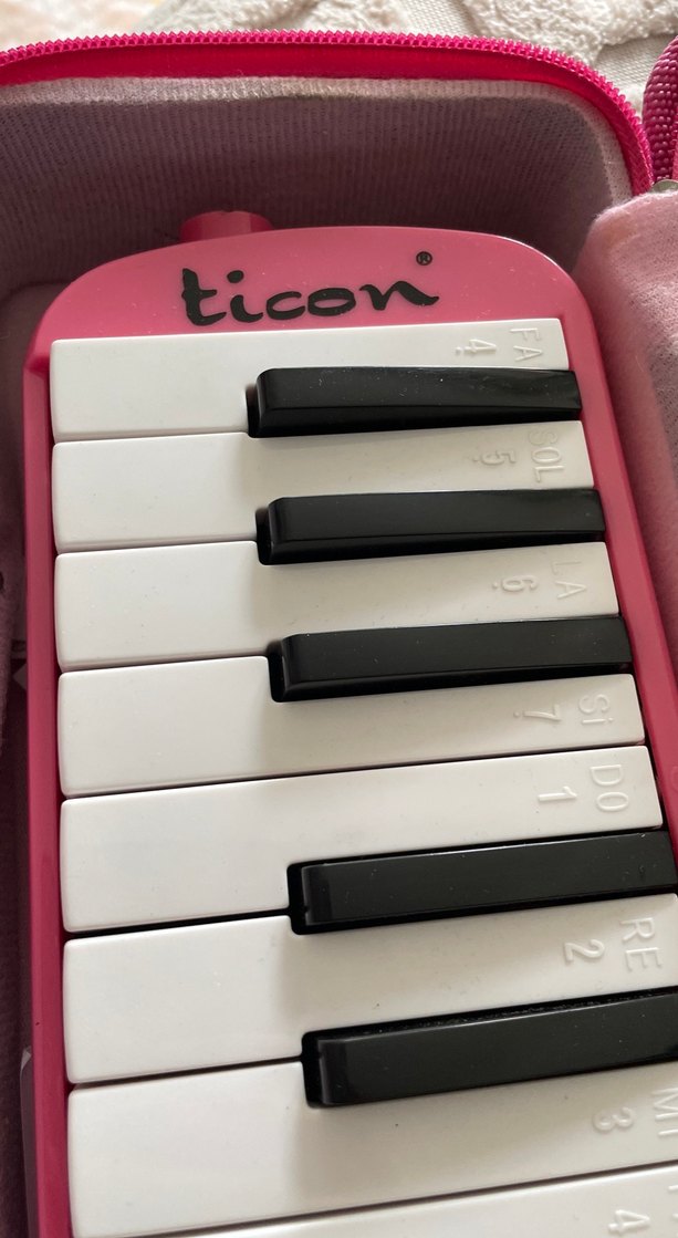 Pembe Melodika ve Taşıma Çantası - Görsel 2