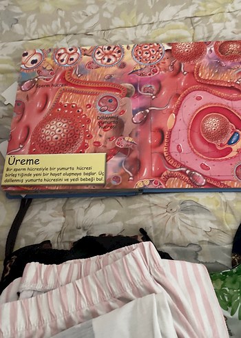 İnsan Vücudu - Sağlık Kitabı kapboz - Görsel 8