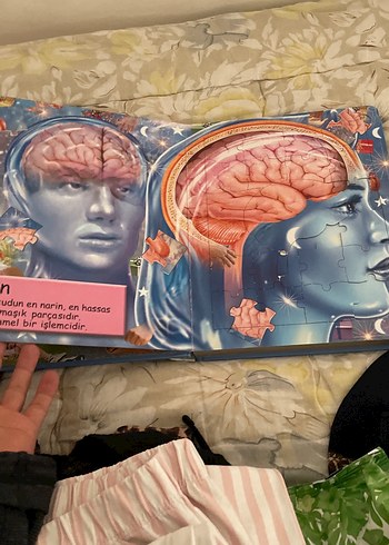 İnsan Vücudu - Sağlık Kitabı kapboz - Görsel 2