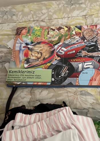 İnsan Vücudu - Sağlık Kitabı kapboz - Görsel 6