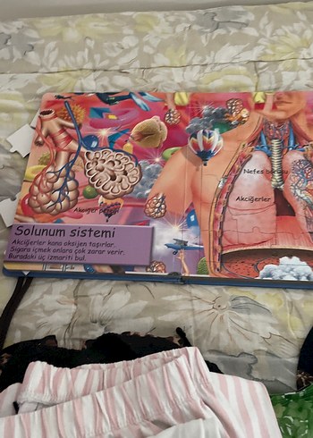 İnsan Vücudu - Sağlık Kitabı kapboz - Görsel 4