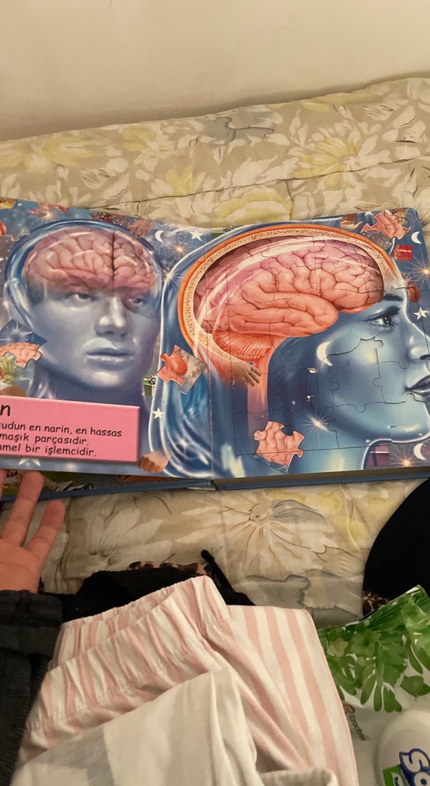 İnsan Vücudu - Sağlık Kitabı kapboz - Görsel 2