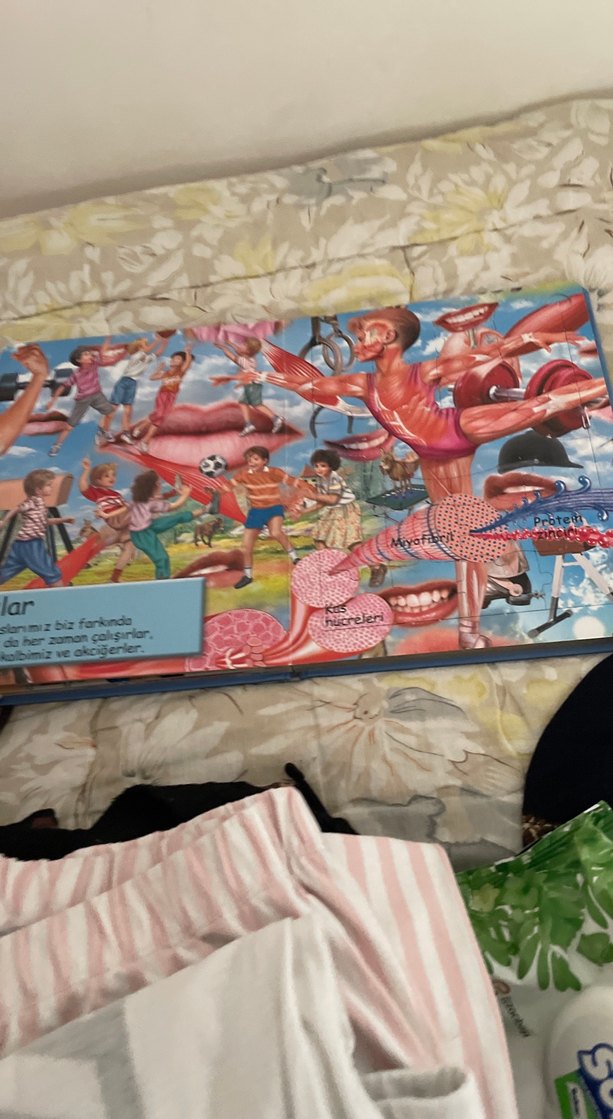 İnsan Vücudu - Sağlık Kitabı kapboz - Görsel 5