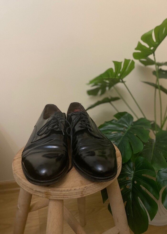 George hogg - Görsel 2