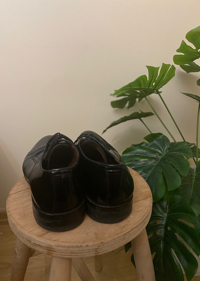 George hogg - Görsel 3