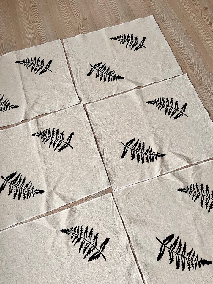 Kastamonu Taş Baskı Supla - Görsel 2