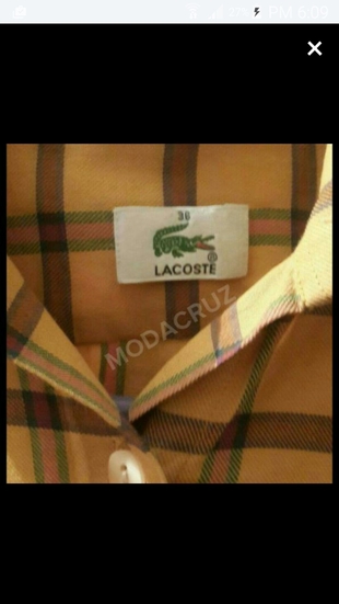 Lacoste Lacoste gömlek 