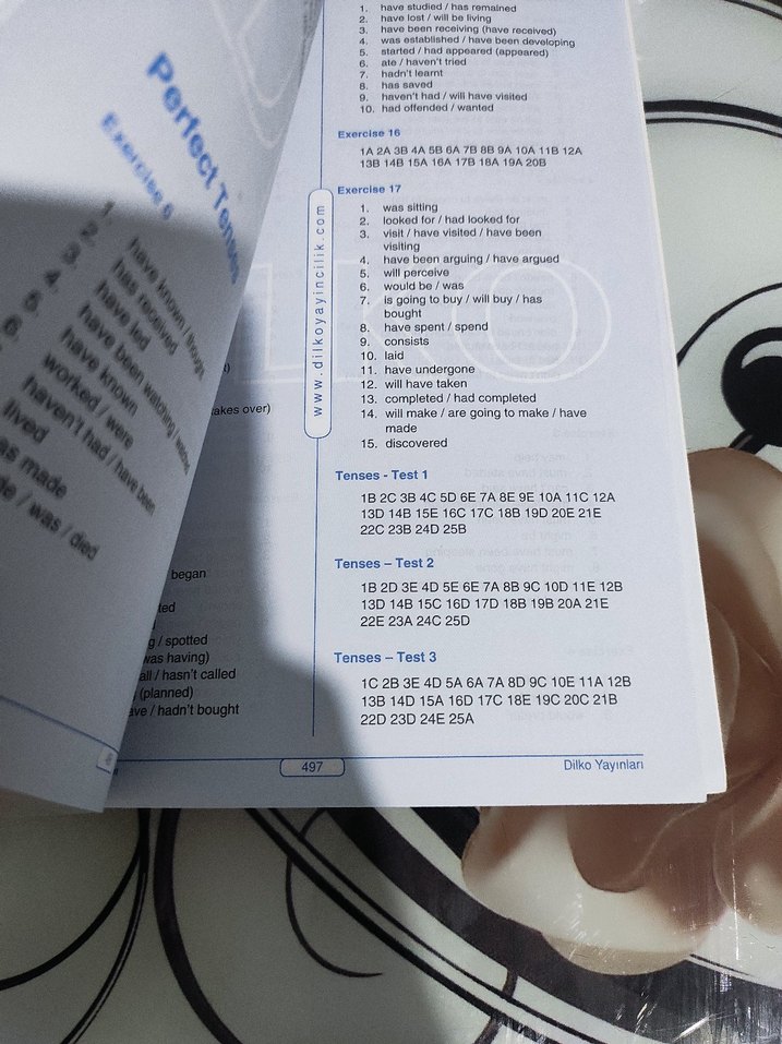 YDS İngilizce Dilbilgisi Kitabı - Görsel 5