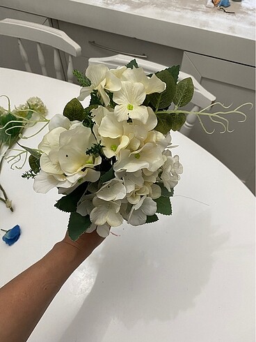 Beyaz ortanca çiçek