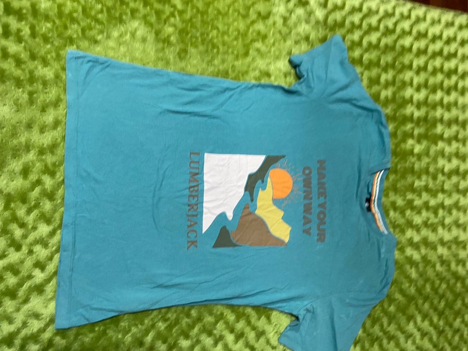 Turkuaz Baskılı Hamile Tişörtü, Kısa Kollu lumberjack S beden - Görsel 4