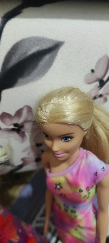 Beden Renk Orjinal Barbie bebek