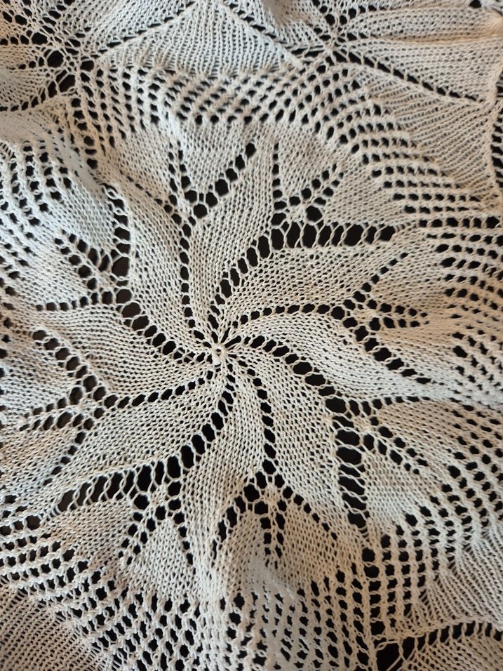 Çeyiz İşi, Pamuk İp ile Örülmüş Dantel - Görsel 4