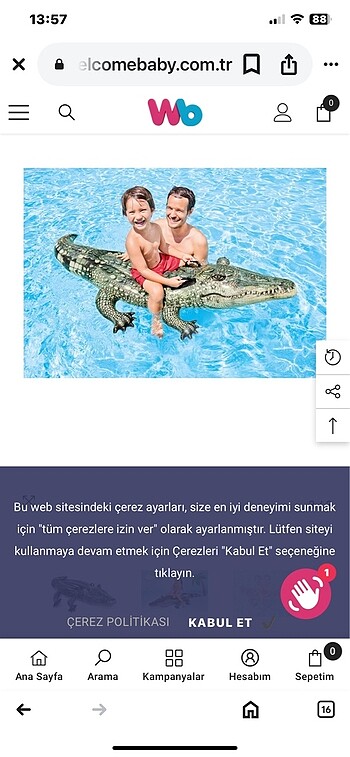 Timsah bünici ve Yunus