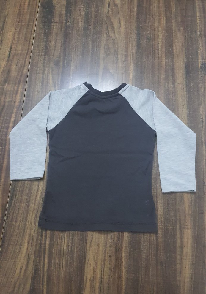 Hellobaby Uzun Kollu Dinozor Baskılı Tshirt - Görsel 2