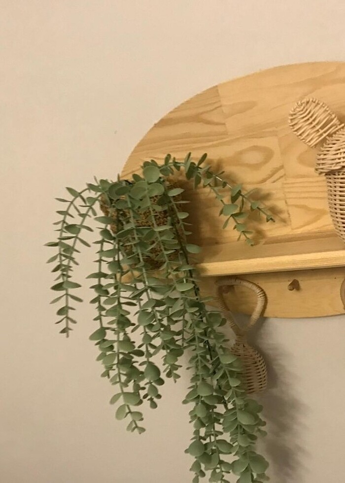 Ahşap Duvar Rafı - Görsel 3