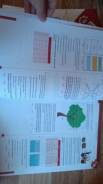 Beden Matematik