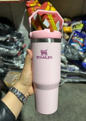 Beden Stanley termus