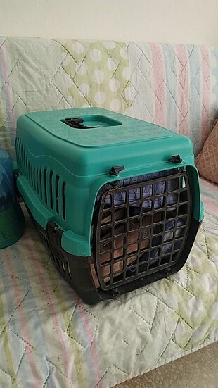 Köpek box