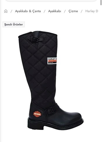 Harley Davidson ürünü
