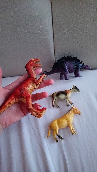 animals . 