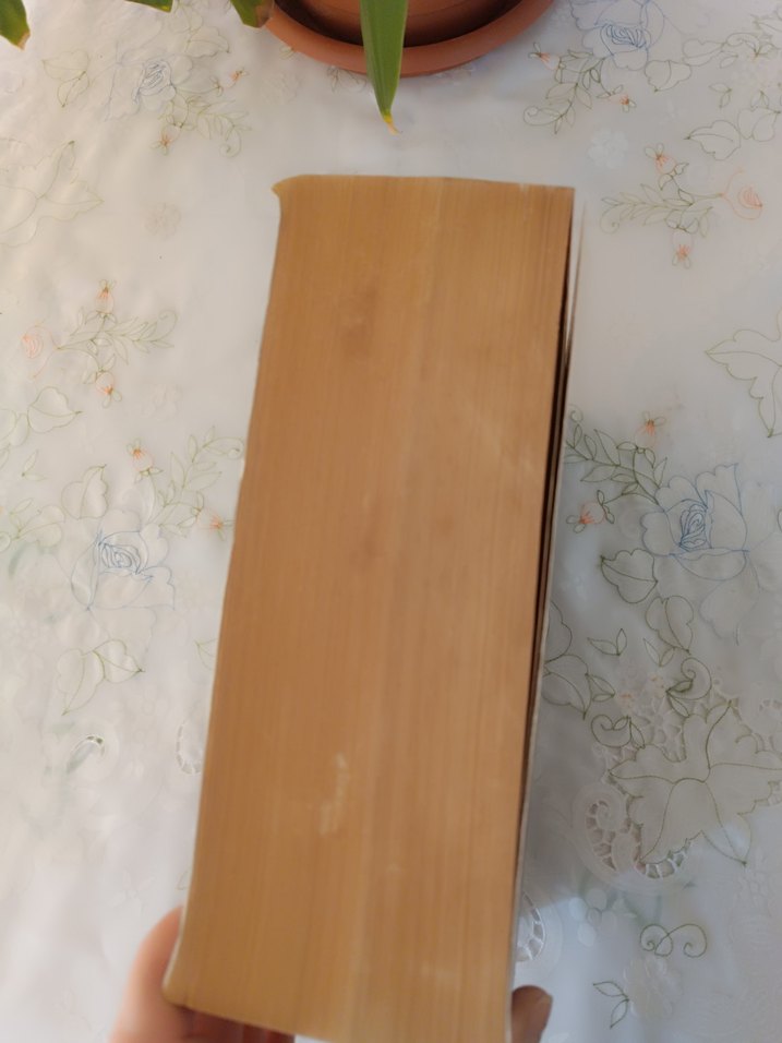 William Shakespeare Tüm Eserleri Kitabı - Görsel 3