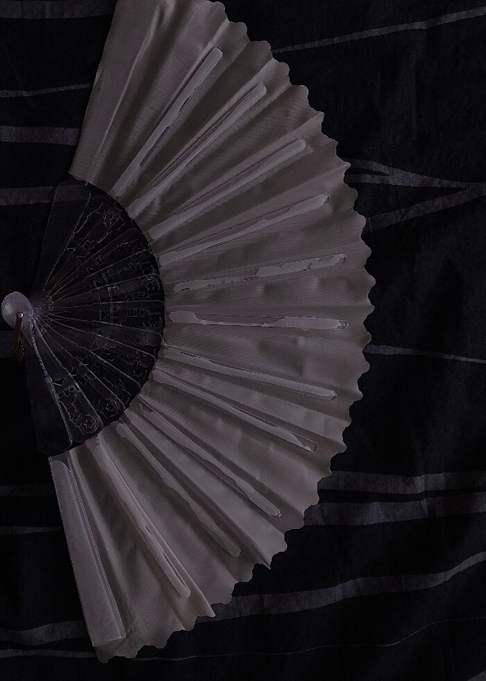 KREM RENGİ YELPAZE - Görsel 2