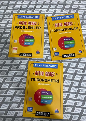 şenol hoca yayınları çıtır çerez serisi