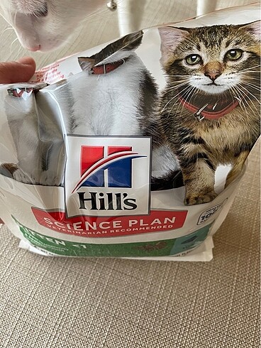  Hill?s kitten tuna