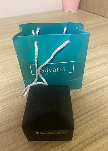 Altın Renkli Zincir Detaylı gümüş kolye - Görsel 3