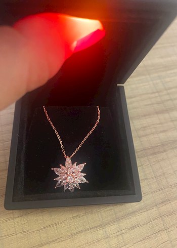 Altın Renkli Zincir Detaylı gümüş kolye - Görsel 5